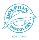 Dolphin-Discovery